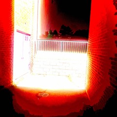 dyingfromtheinsideout (ft. skittz)