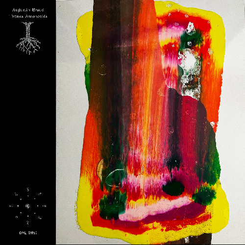 Augustin Braud - Trônes Amoncelés (excerpt)