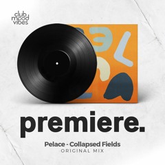 PREMIERE: Pelace - Collapsed Fields (Original Mix) [Paradiso]