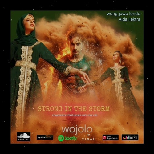 STRONG IN THE STORM melodic techno mix