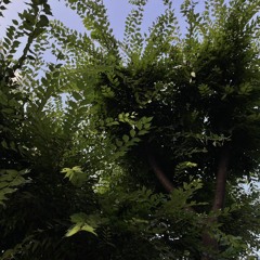 이나래 - 푸른