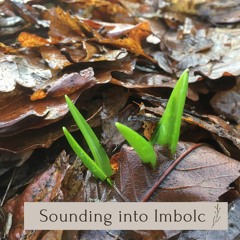 Sounding into Imbolc