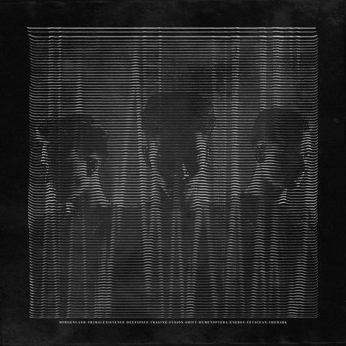 Diode Eins - 2020 Showcase