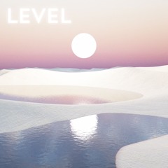 Level