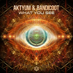 Aktyum & Bandicoot - What You See
