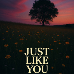 Just Like You - Duraldon