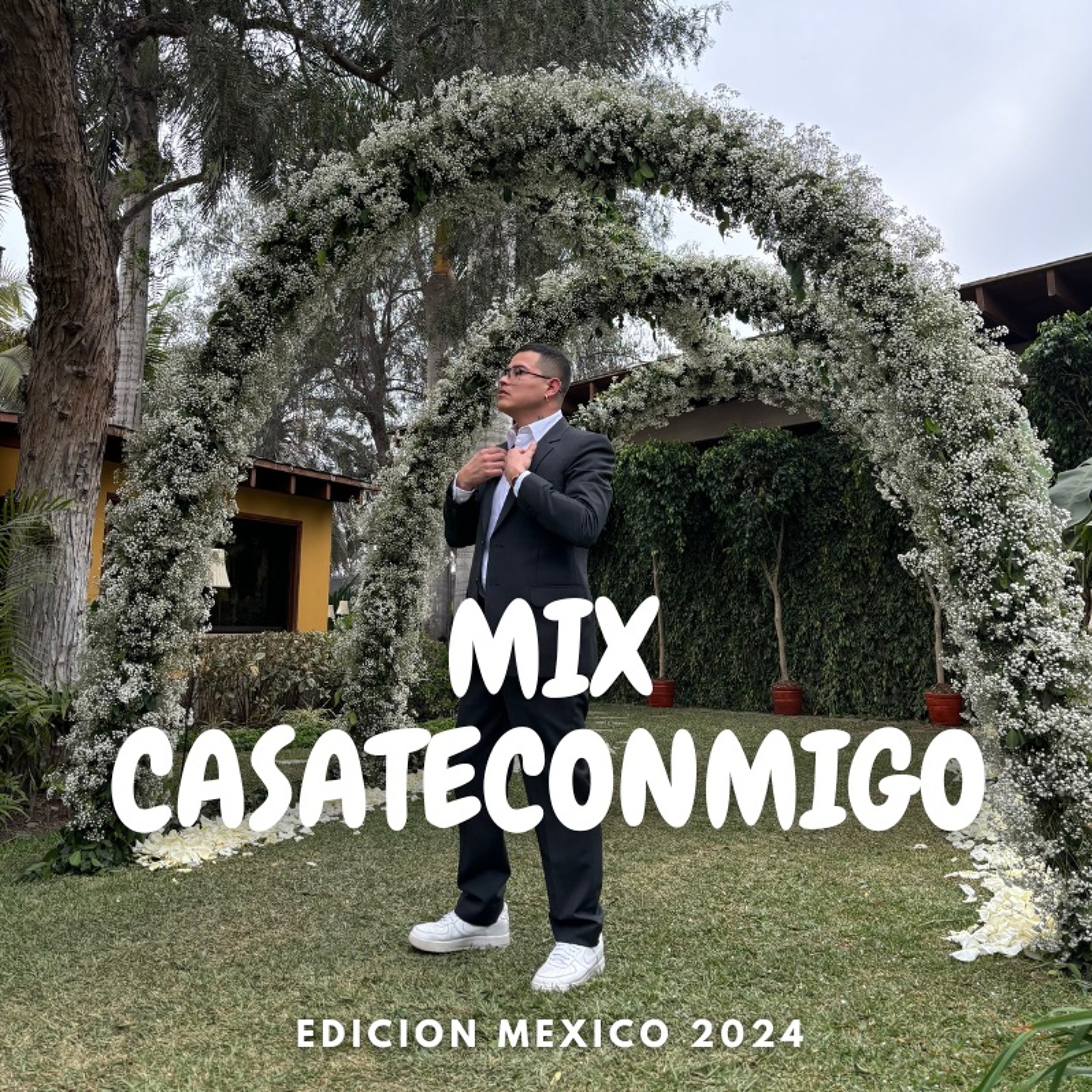 Mixes / Remixes