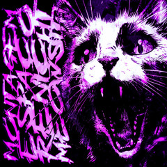 Montagem Espaco Renicht Meowsith