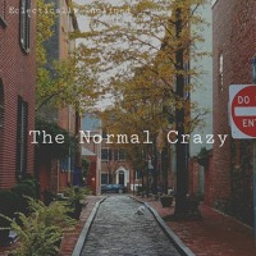 The Normal Crazy (Electronica/R&B Beat)