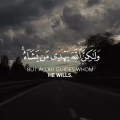 Surah Qasas - Peshawa Kurdi | سورة القصص - بيشةوا قادر الكردي