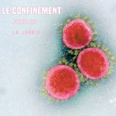 LE CONFINEMENT - JOURNAL DE BORD JOUR 26 - STÉPHANIE PIN