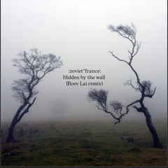 :zoviet*france: • "Hidden by the wall [Roev Lai remix]"