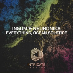 IN5UM - Everything (Original Mix Edit)