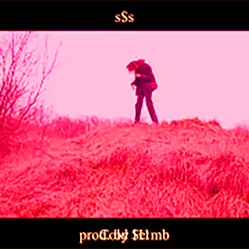 s$s