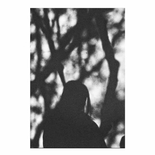 When Darkness Spoke - Salem's Secret