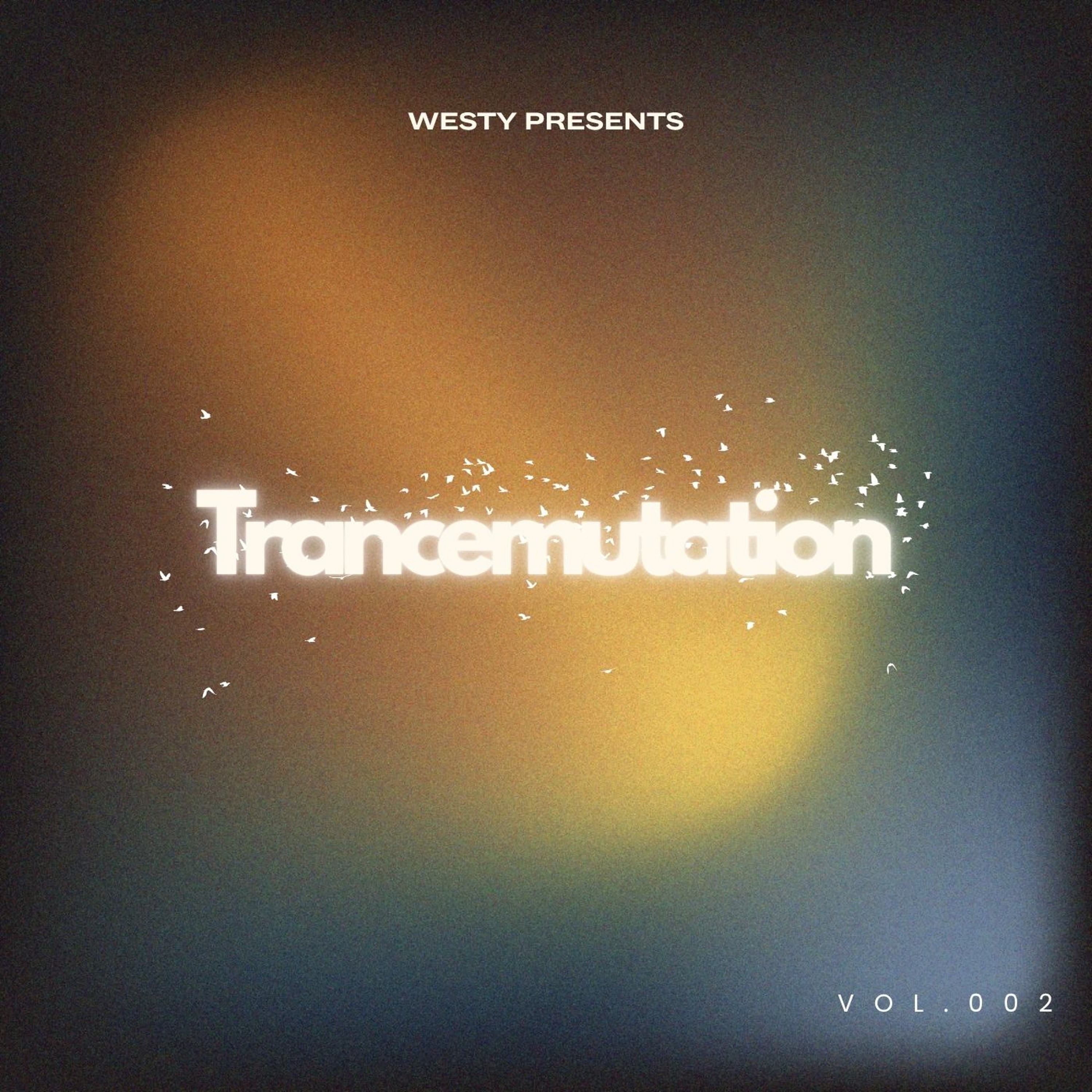 Trancemutation 2 episode artwork
