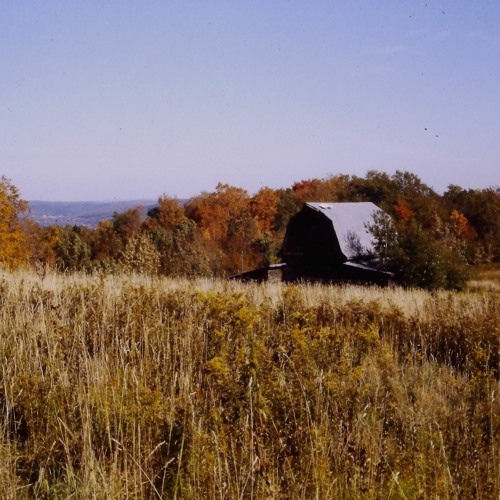 Franklin Mountain 19-20Aug92