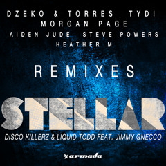Disco Killerz & Liquid Todd feat. Jimmy Gnecco - Stellar (Morgan Page Remix)