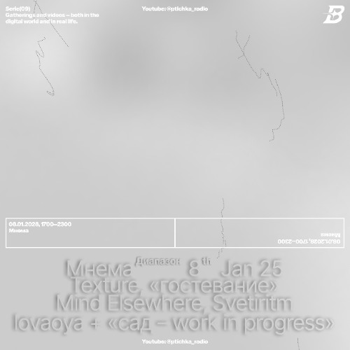 Bird x Мнема /w Svetiritm (08.01.25)️