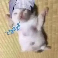 cool beat with pierre samples v2