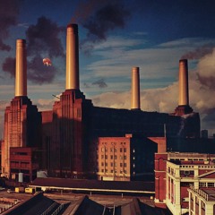 Pigs on the Wing 1