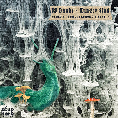[SNIPPETS]_SH243_RJ_Banks_-_Hungry_Slug_EP