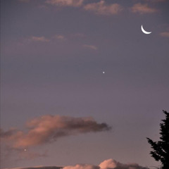 سورة النساء هزاع البلوشي