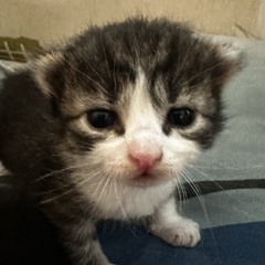 танцы мы устроим speed up