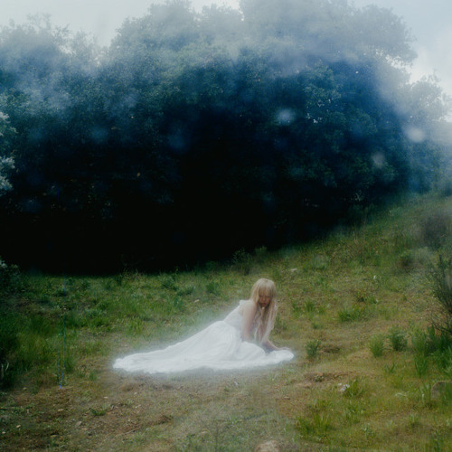blackswan