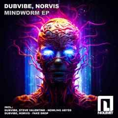 DubVibe, Steve Valentine - Howling Abyss (Original mix)