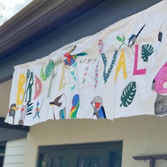 Bird Festival 2020 // Toucan stage