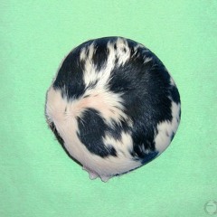 “Saturn rotation” demo