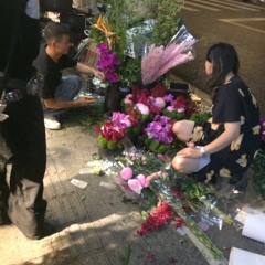 kitsch - hold me close