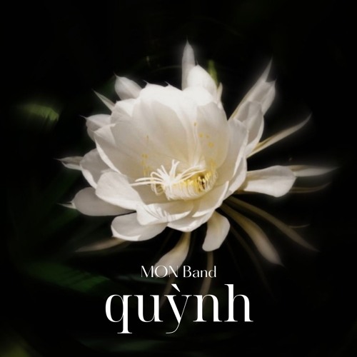 Quỳnh (Experimental 15)