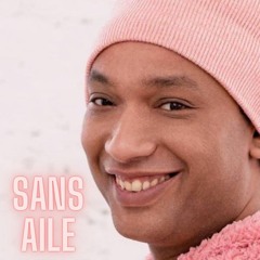 Wins - Sans aile [Doc Gynéco Type Beat]