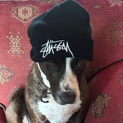 Jungle train vol 1.mp3