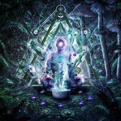 Trip to Nirvana