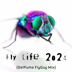 Fly Life 2024 (DelPuma FlyGuy Mix)