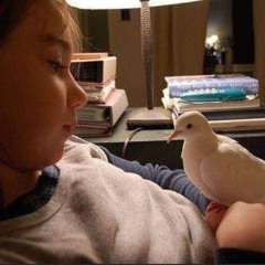 أراك هجرتني هجراً طويلاً