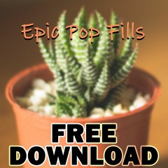 Epic Pop Fills 《Click BUY for FREE DOWNLOAD》