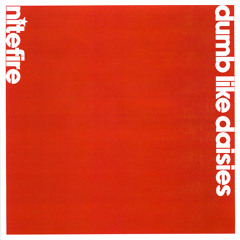 Edge Detector Steve Shirley