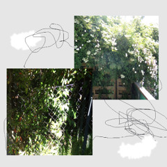 arboles