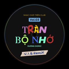 Tràn Bộ Nhớ - Dương Domic (V.I.B Remix)