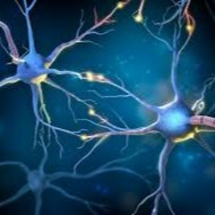 Techno Disociativ 25 (Original Mix)