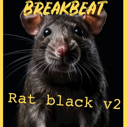 Rat Black V2