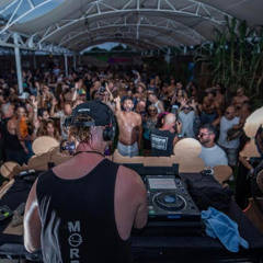 Morph - Anything & Everything