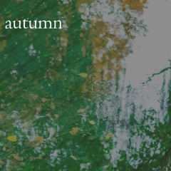 autumn (naviarhaiku595)