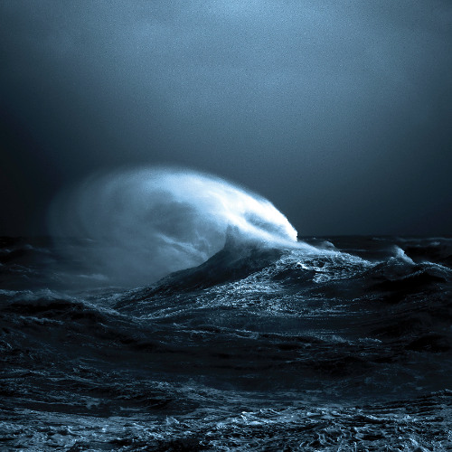 Mark Molnar • Terre Sacer