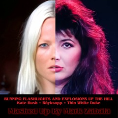 Running Flashlights and Explosions up the Hill (Mark Zabala Mashup)