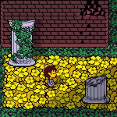 5. Garden